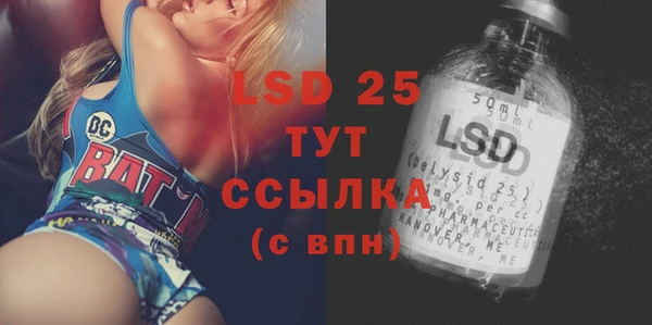 индика Горно-Алтайск