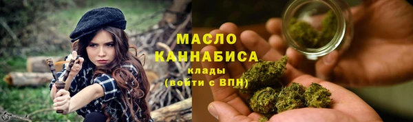 индика Дмитриев