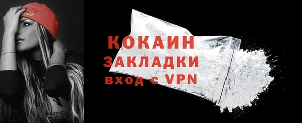 индика Горно-Алтайск