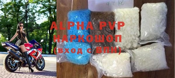 индика Горно-Алтайск