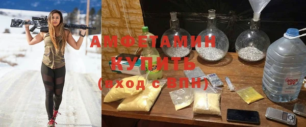 индика Горно-Алтайск