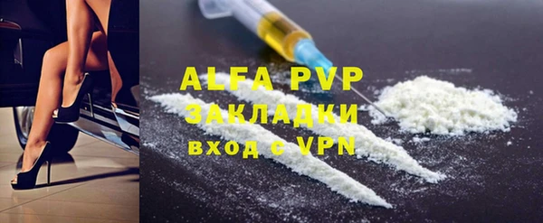 индика Горно-Алтайск